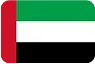 Dubai flag